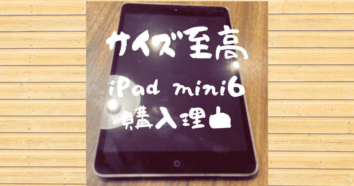【サイズ至高】初心者のiPad mini6購入理由【子供にも】